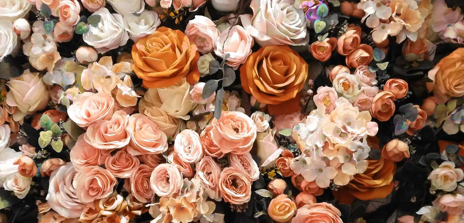 Consciousness Calibrations Database